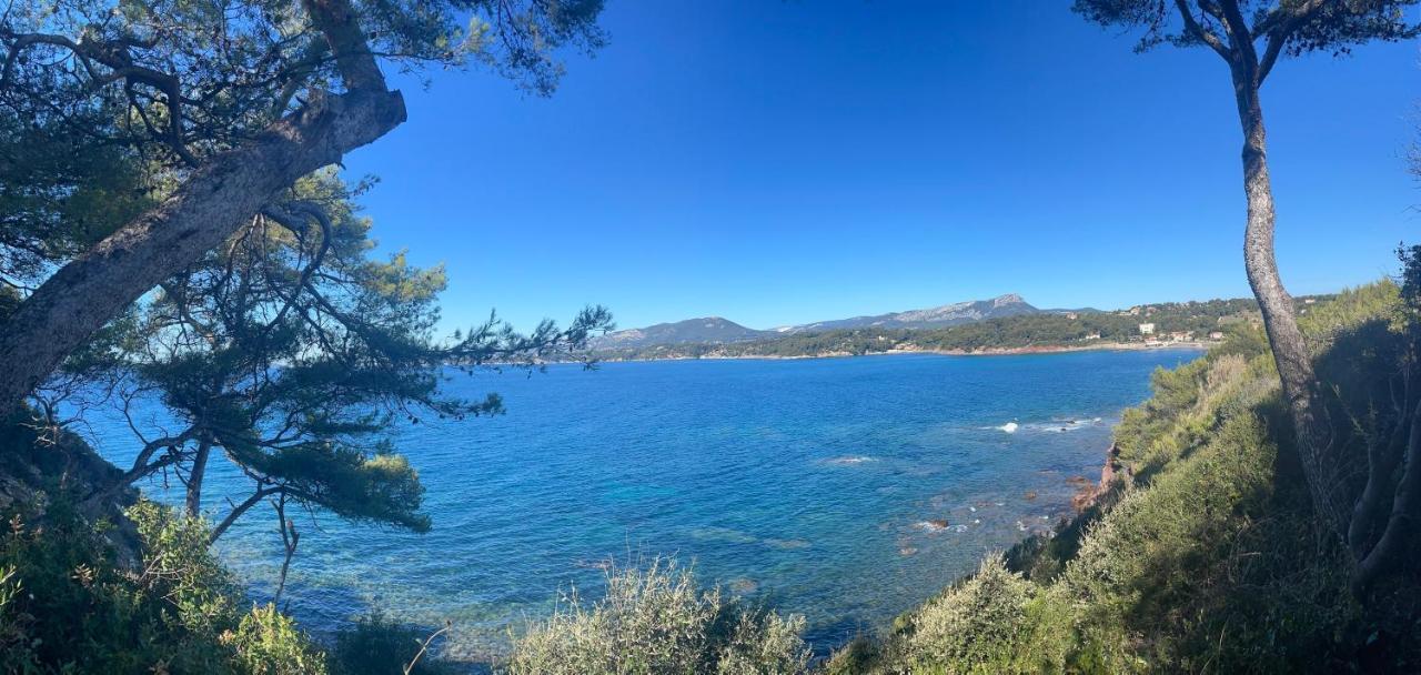 Appartement Cosy Vue Mer A 50 M De La Plage - Refait A Neuf Et Climatise Le Pradet Bagian luar foto