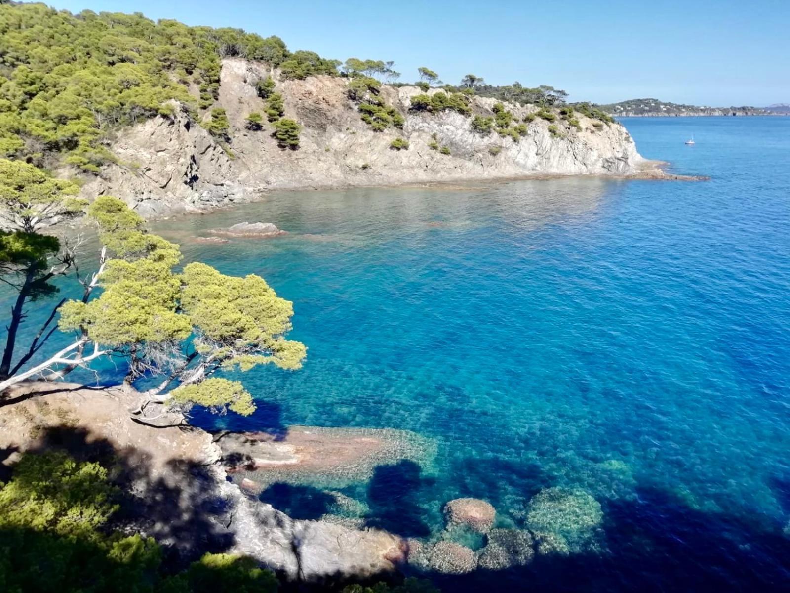 Appartement Cosy Vue Mer A 50 M De La Plage - Refait A Neuf Et Climatise Le Pradet Bagian luar foto